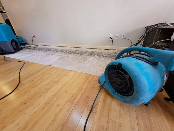 Professional Water Damage Repair technician working in Smithfield, WV